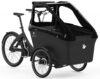 eT24 008552 03 de Triobike boxter air II 2024