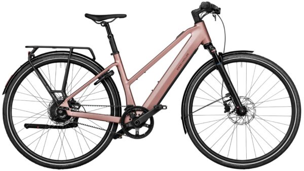 Riese & Müller UBN Seven vario Testbike 2025 Urban e-Bike